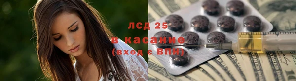 твердый Алзамай