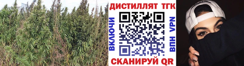 ТГК вейп с тгк  где купить   Агрыз 