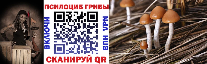 ОМГ ОМГ зеркало Агрыз Галлюциногенные грибы прущие грибы